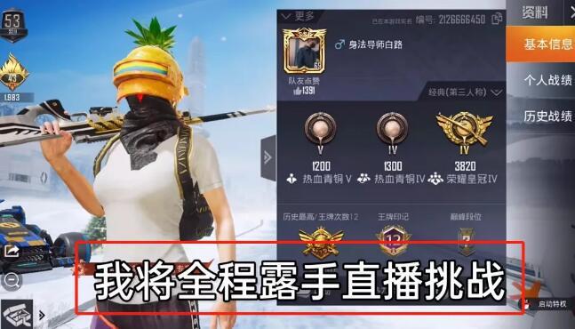 和平精英辅助【DODO】