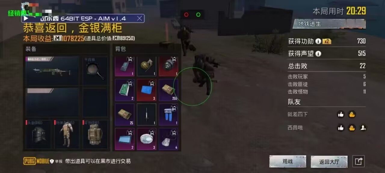 和平精英辅助软件的发展与影响分析